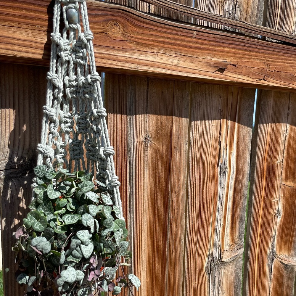 Macrame Plant Hanger